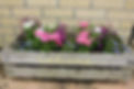 Welcome flower pot