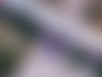 SARR começa em La Rioja, shakedown travado marca primeiros ajustes da Fifi Rally Team