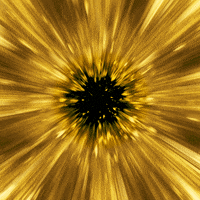 982a4c3a9f8ca83c675d3b8d038b8550_w200.gif