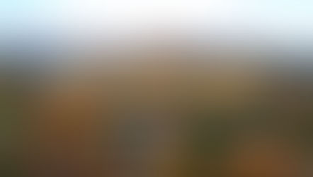 Don't Forget! Watterside End of Year Meeting.