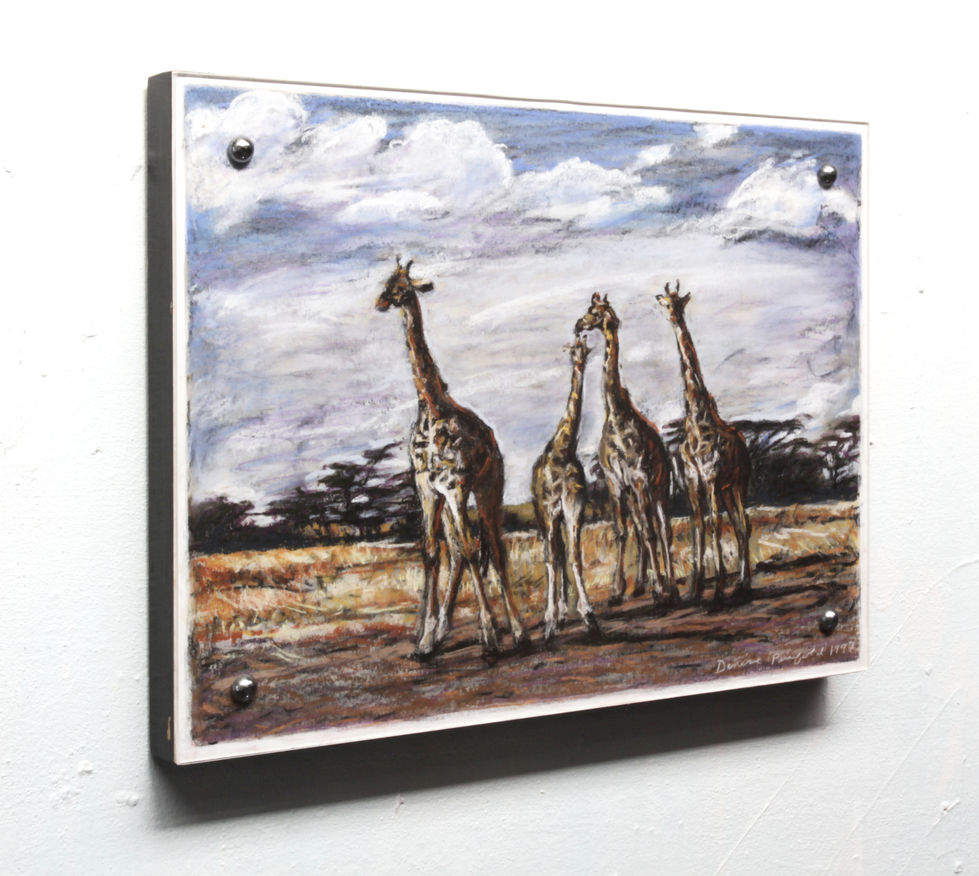 Postcard Series Giraffes (Chalk Pastel on Ashrad Paper Mounted on Board with Perspex Sheet