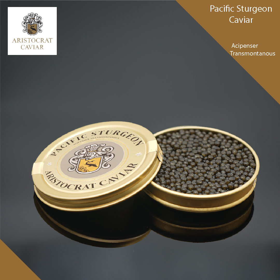 貴族高首鱘魚子醬