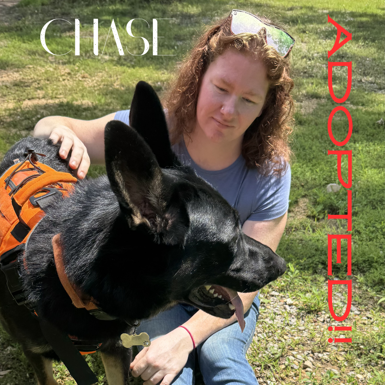 CHASE