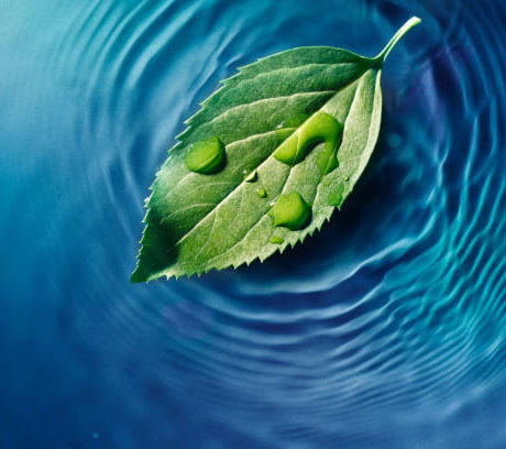 How to Thrive When You're Floating