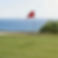 golf.jpg