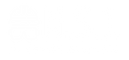 Nsi Logo
