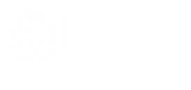 Logo NSI