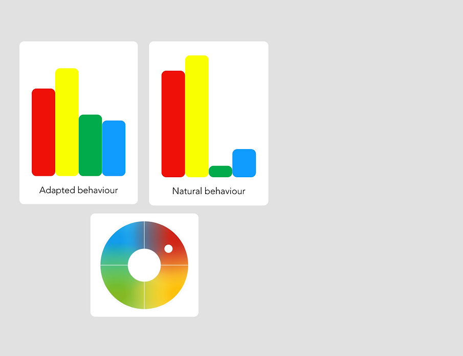Colour Profiling Charts