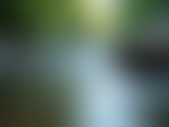 やさしさとは、揺らぎの中で調律を保つ力