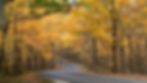 Brown County Fall 1.jpg