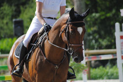 CSO (171)