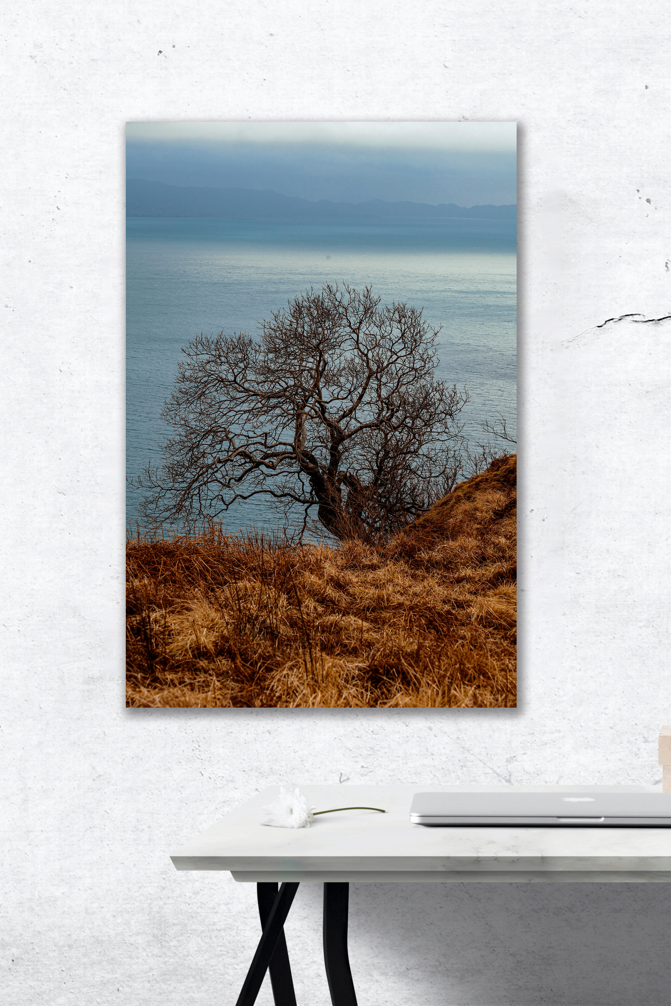 Clifftop Tree