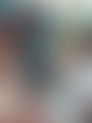 Santa Catarina acelera na liderança da mobilidade híbrida