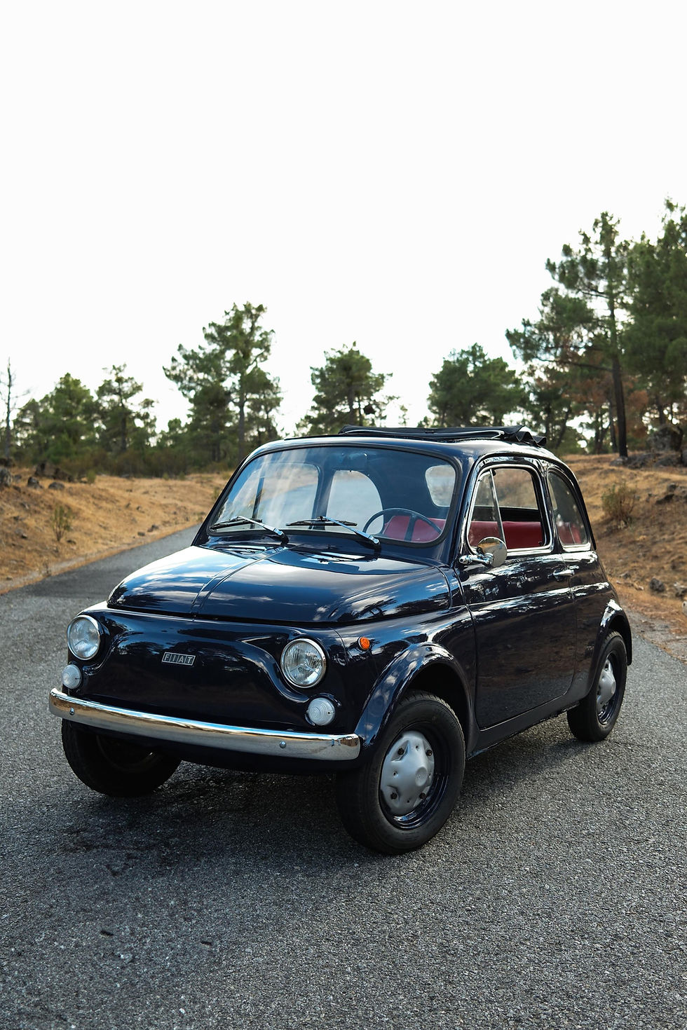 Miniatura: FIAT 500