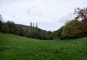 IMGP6002.jpg