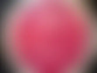 LTB 264/25 - POSTAL DEPARTMENT: NEWLY COMBINED OFFICER’S ROLE - RMG CENTRAL SERVICES, HR POLICIES & PROCEDURES, PENSIONS, POST OFFICE, CAPITA TVL