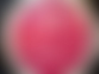 LTB 266/25 - UPDATE ON EMPLOYMENT RIGHTS BILL