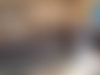 環境経済委員会で川崎市、宮崎市、宮崎県を視察しました