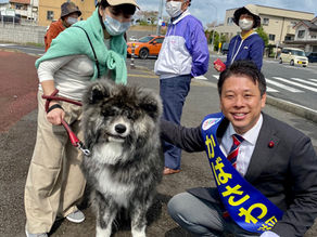犬や猫の動物福祉推進を!千葉市水族館誘致はNO!