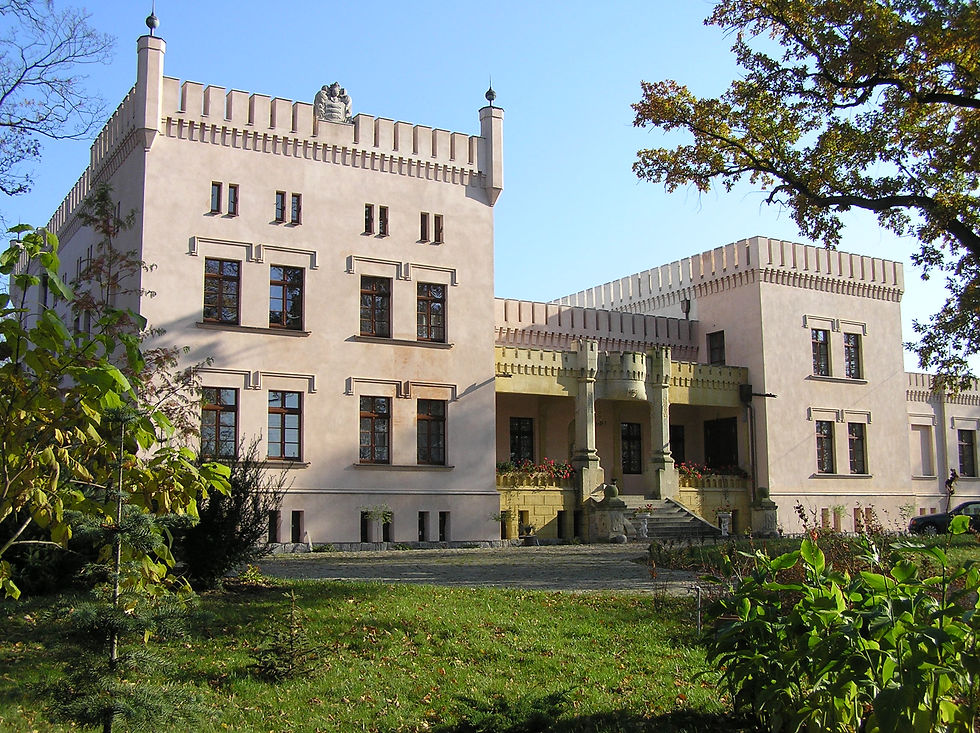 Śródka, Pałac.JPG