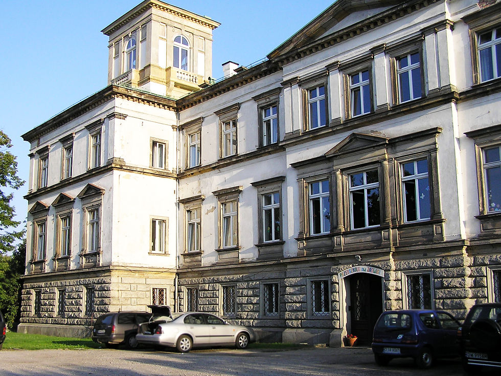 Morawa k Strzegomiia, Pałac.JPG