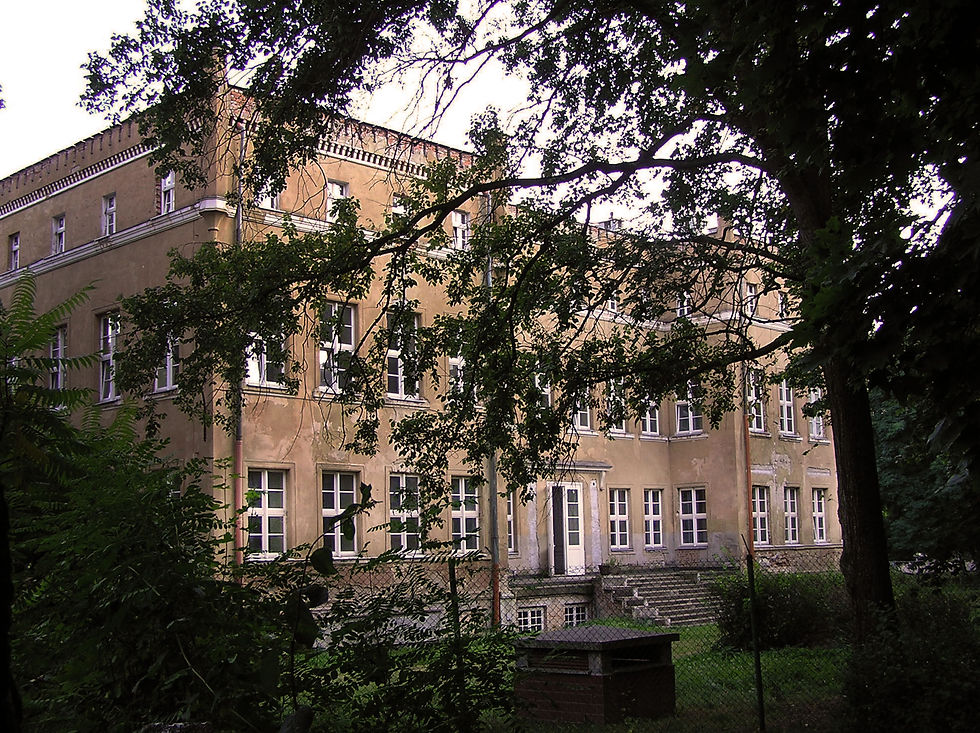 Dąbroszyn, Pałac.JPG