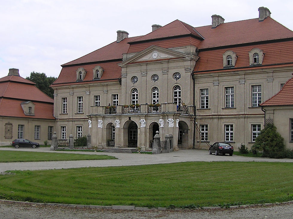 Pępowo, Pałac.JPG