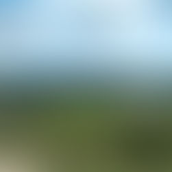 David’s Identity As A Child Of God