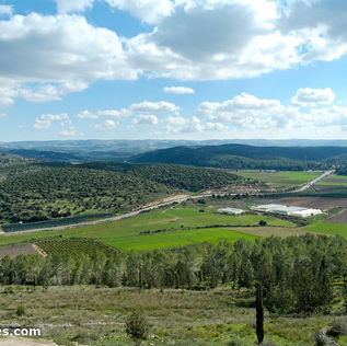 David’s Identity As A Child Of God