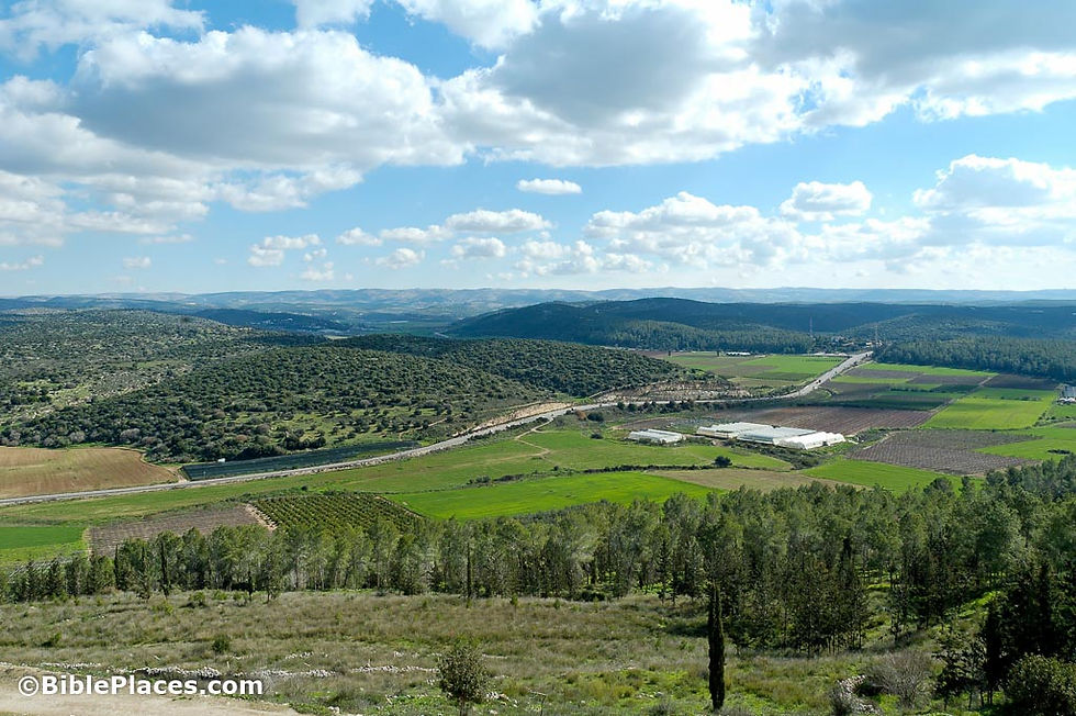 The Valley of Elah