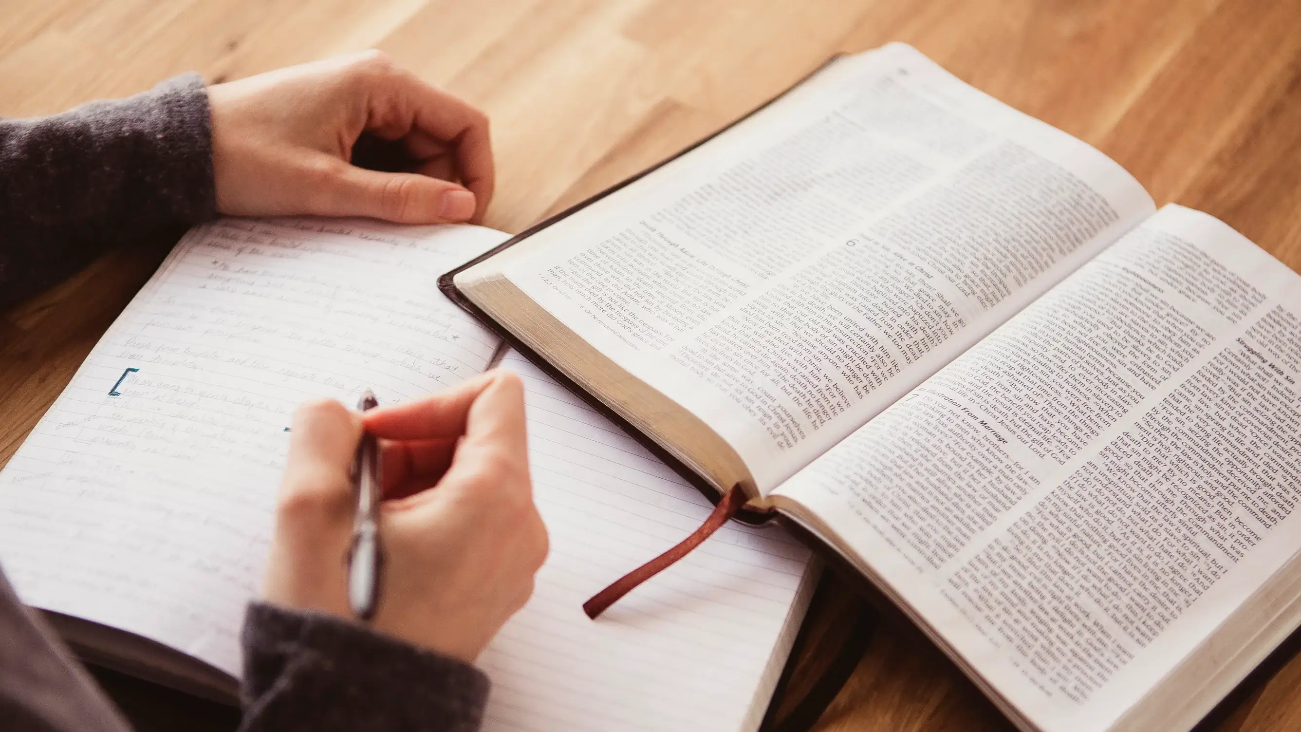 Person studying the Bible