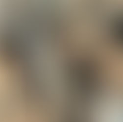 Book Recommendations from Our Staff