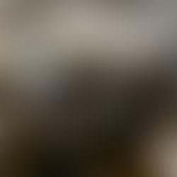 Event Recap: AD's 4 Christ Annual Event 2023