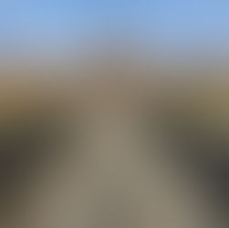 The Best Argument for the Existence of God