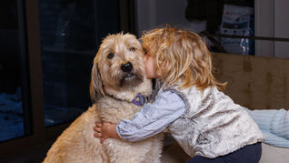 enfant calin chien convalescence