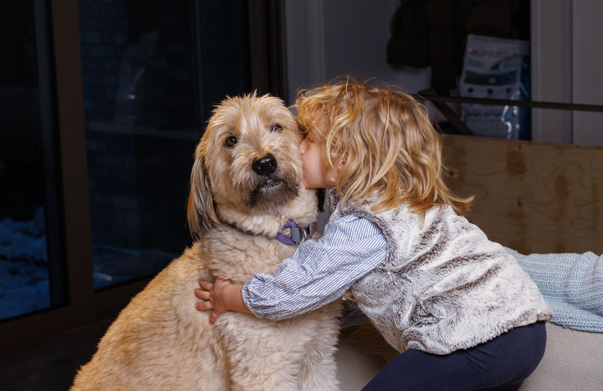 enfant calin chien convalescence