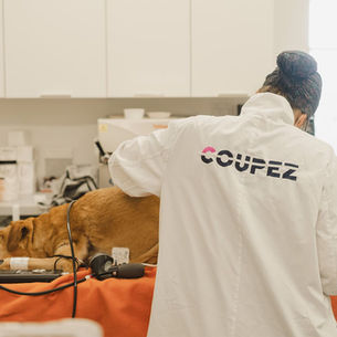 Technicien en blouse blanche avec texte "COUPEZ" s'occupe d'un chien sur une table orange, dans une salle blanche équipée. Ambiance professionnelle.