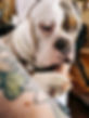 IMG_2268.jpeg