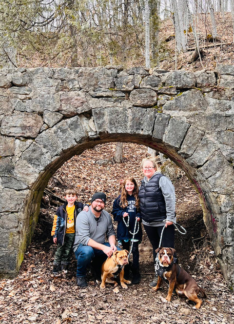 Olde English Bulldogge Breeder Ontario