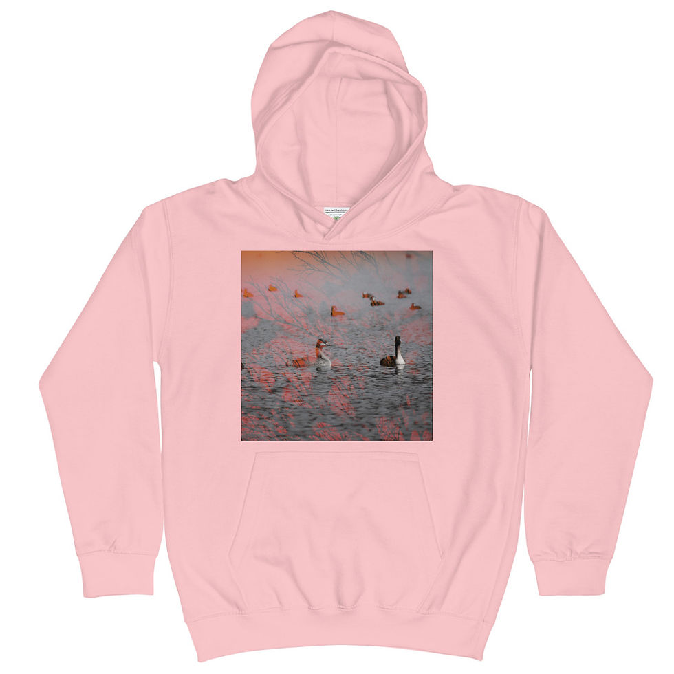 Miniatura: Sudadera niño