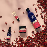 Wild Rose Range 0174 0170 0176 7691 LS V2 2000px-min.jpg