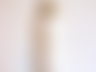 Ingredients Highlight: Blueberry Fruit Extract