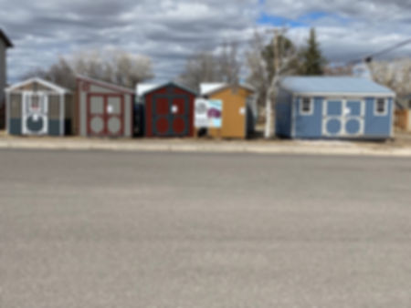 The Shed Guy