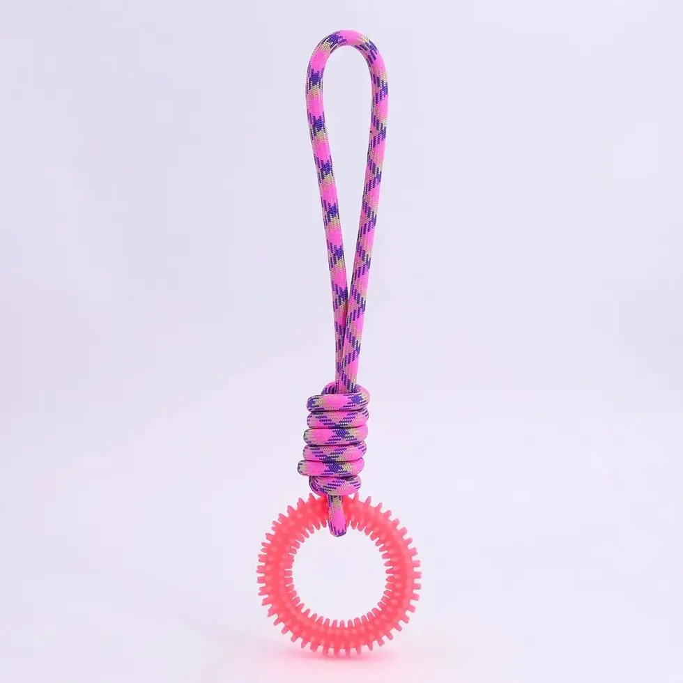Thumbnail: Dog Toys Chew Resistant Nylon Rope Toys Pet 