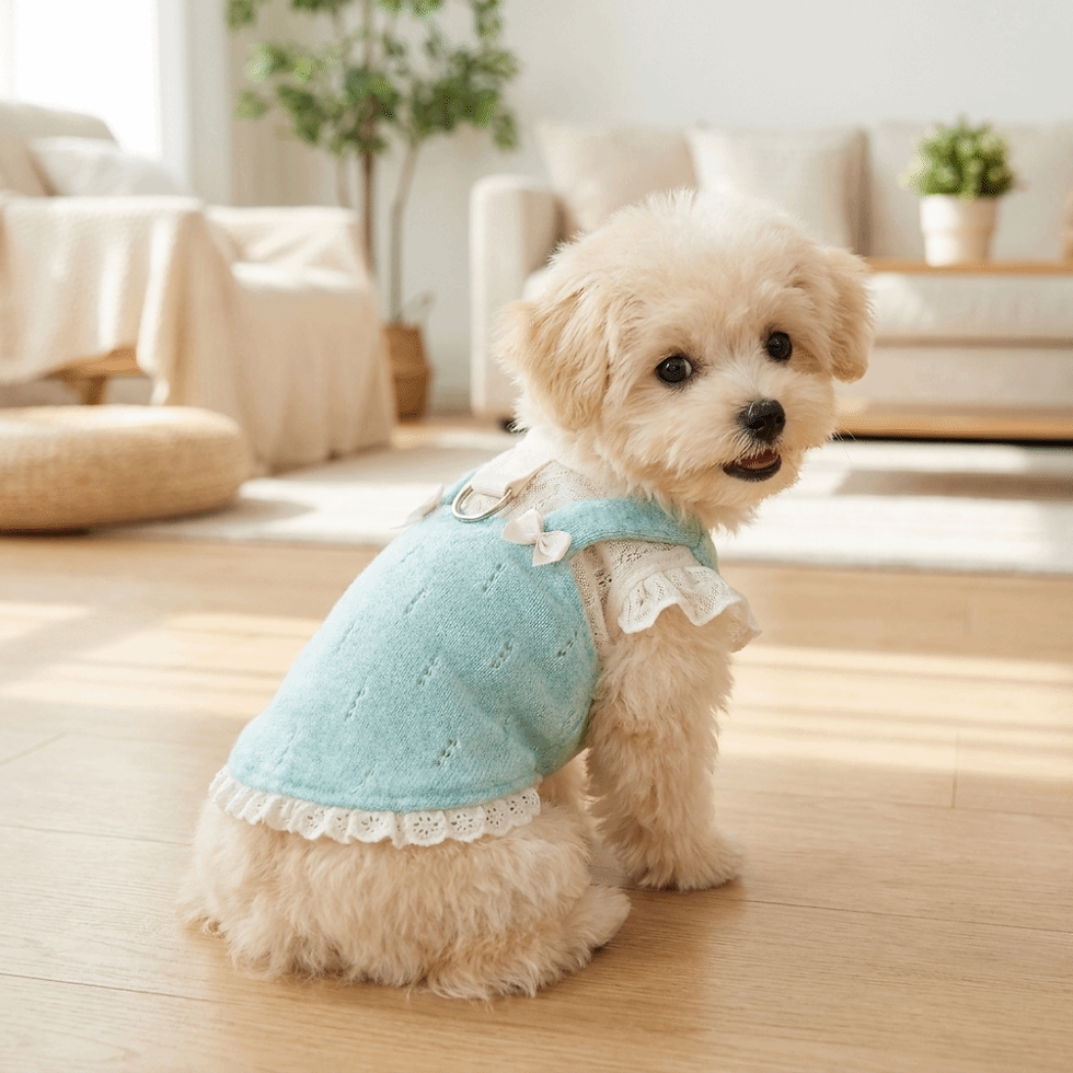 Thumbnail: Casual Cool Dog Summer Clothes Thin Breathable with Traction Ring 