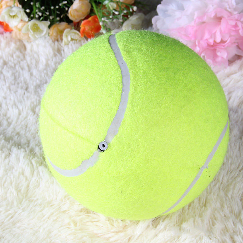 Thumbnail: 9.5 Inches Dog Tennis Ball Giant Pet Toy