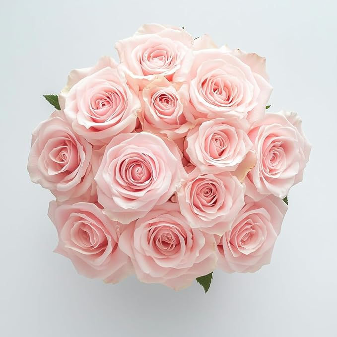 Thumbnail: 1 Dozen Rose Bouquet