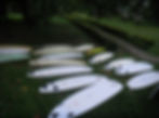 Surfboard rentals