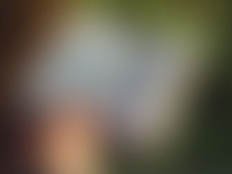 The Allure of Physical Books: Why They'll Never Die