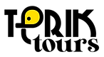 Terik Tours logo